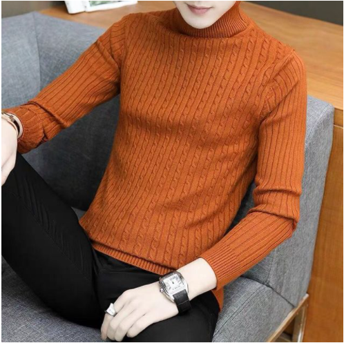 Men's Turtleneck Slim Casual Pullover Sweater-5