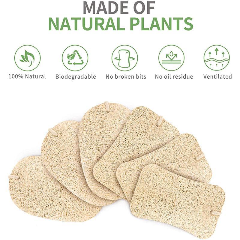 Práctica esponja de limpieza natural (5PCS)