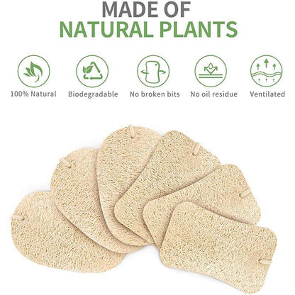 Esponja de limpeza natural prática (5PCS)