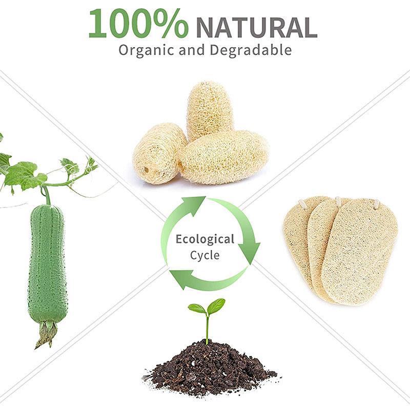 Práctica esponja de limpieza natural (5PCS)