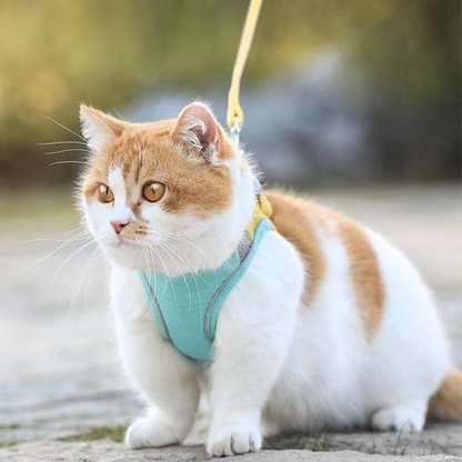 Conjunto de arnés y correa de chaleco de gato luminoso