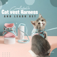 Lysande kattväst Harness och Leash Set