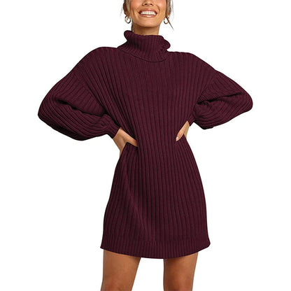 KuumamyyntiNaisten turtlenkautta pitkällä lyhtyy hihassa Loose Sweater mekko (ostu 1 ILMAINEN SHIPPING)